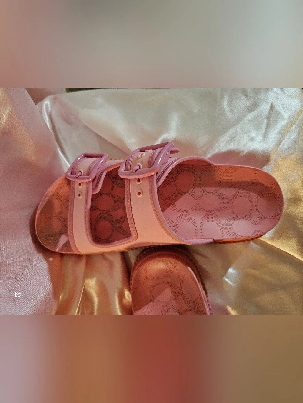 Coach Lainey Pink Double-Buckle Platform Slide Sandals